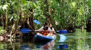 Surat ThaniTravel Itinerary