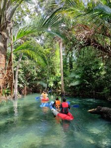 PhuketSpeedboat Trip