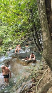 Phang NgaJungle Trip
