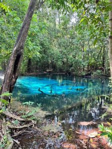 Surat ThaniTour Package