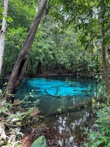 Surat ThaniIsland Hopping