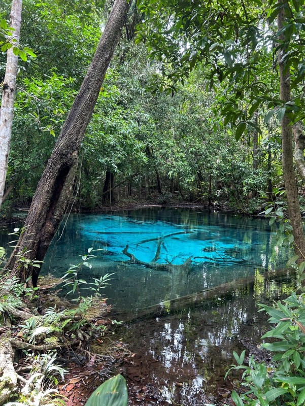 Surat ThaniIsland Hopping