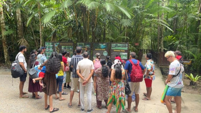 Surat ThaniSightseeing